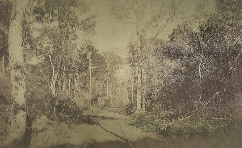 LA ASUNCIÓN DE ANTAÑO (COLECCIÓN DE JAVIER YUBI)